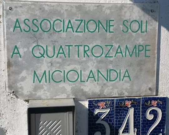 Gattile di Ravenna