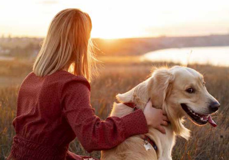 Corso formativo per proprietari di cani