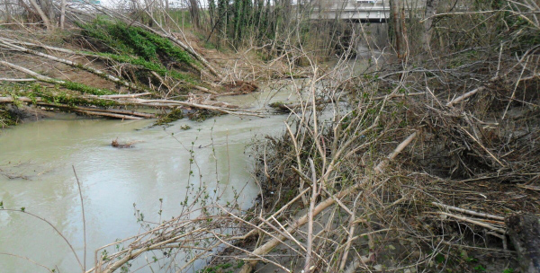 Autorizzata per il 2026 la raccolta manuale del legname caduto nei corsi d’acqua per uso domestico
