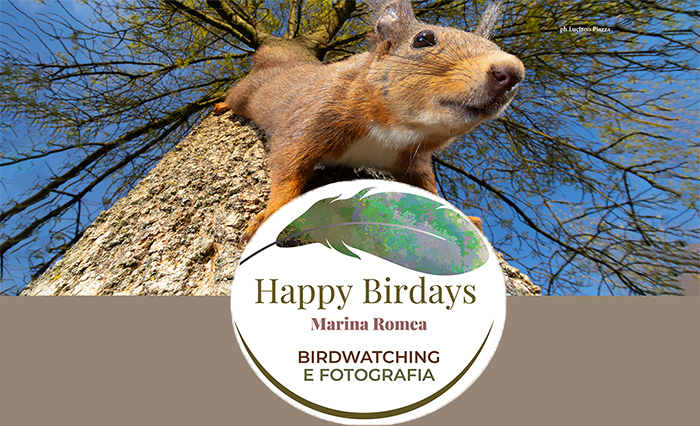 Happy Birdays