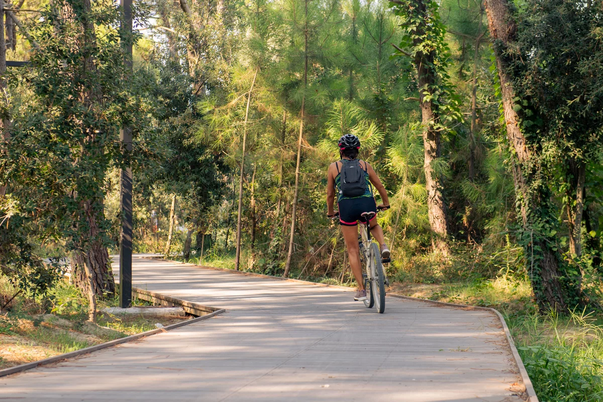 Welcome Hub Parco Marittimo di Marina di Ravenna, ad agosto il costo del noleggio della bicicletta sarà di soli 3 euro per l’intera giornata
